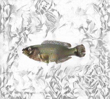 Digital Arts titled "Fish On Gray Backgr…" by Isra, Original Artwork, Photo Montage