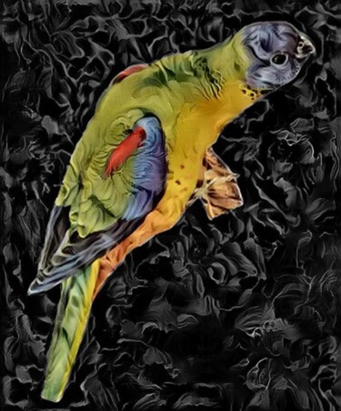 Arts numériques intitulée "Parrot" par Isra, Œuvre d'art originale, Photographie numérique