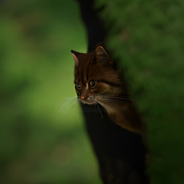Digital Arts titled "Kitten1" by Isra, Original Artwork, AI generated image
