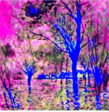 Arts numériques intitulée "magic tree #5" par Israel Lomovasky, Œuvre d'art originale, Peinture numérique