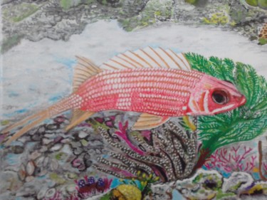 Painting titled "squirrel fish" by Ita Mercera, Original Artwork, Acrylic