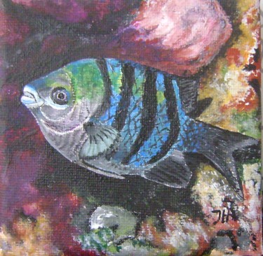 Painting titled "sergant mayor fish" by Ita Mercera, Original Artwork, Other