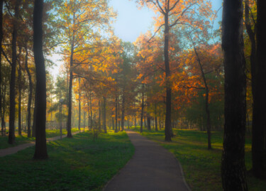 Fotografia intitolato "Autumn morning in t…" da Iurii Baklykov, Opera d'arte originale, Fotografia digitale