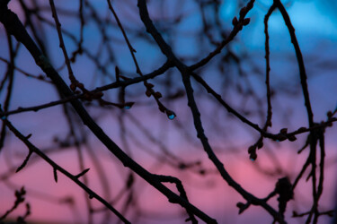Fotografie getiteld "Tree branches with…" door Iurii Baklykov, Origineel Kunstwerk, Digitale fotografie