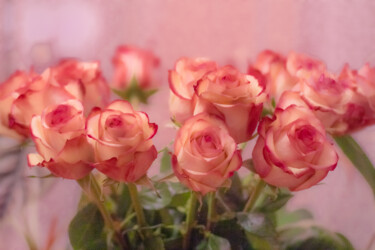 Photographie intitulée "Rose roses" par Iurii Baklykov, Œuvre d'art originale, Photographie numérique