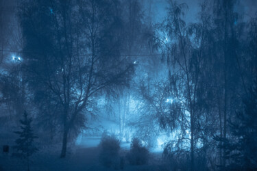 Fotografia intitolato "Frozen winter park." da Iurii Baklykov, Opera d'arte originale, Fotografia digitale
