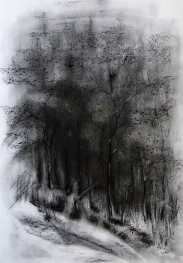 Tekening getiteld "Forêt d'hiver" door Iurii Zaika, Origineel Kunstwerk, Houtskool