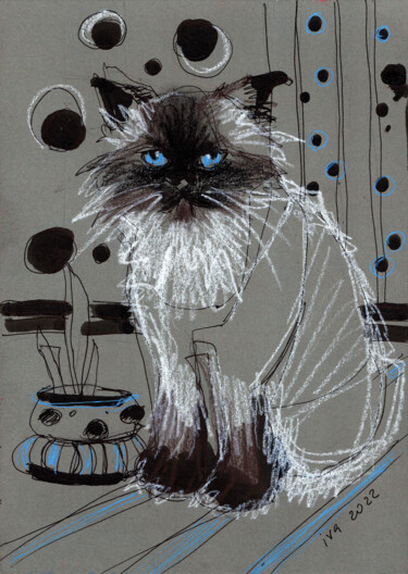 Disegno intitolato "Chat aux yeux bleus" da Tatiana Ivchenkova, Opera d'arte originale, Matita
