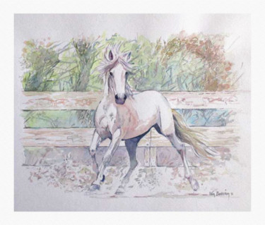 Painting titled "cheval blanc" by Ivan Boussion, Original Artwork, Watercolor