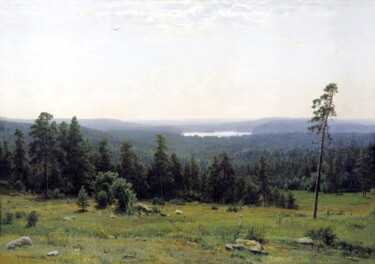 Peinture intitulée "Les zones boisées" par Ivan Chichkine, Œuvre d'art originale, Huile