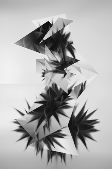 Arts numériques intitulée "Arista IX" par Ivan Cordoba, Œuvre d'art originale, Photographie manipulée
