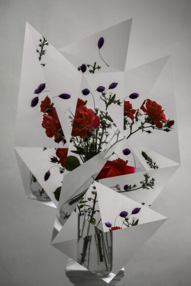 Digitale Kunst mit dem Titel "Arista XII" von Ivan Cordoba, Original-Kunstwerk, Manipulierte Fotografie