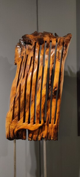 Skulptur mit dem Titel "CERIDO" von Ivan Fabani, Original-Kunstwerk, Holz