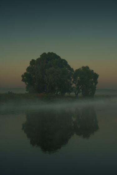 Фотография под названием "Lonely tree by the…" - Ivan Ponomarevsky, Подлинное произведение искусства, Цифровая фотография