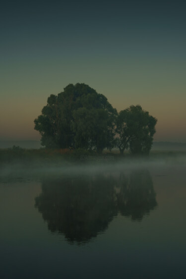 Photography titled "Lonely tree by the…" by Ivan Ponomarevsky, Original Artwork, Digital Photography