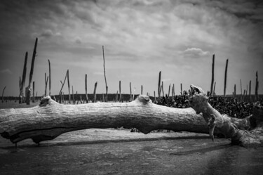 Fotografía titulada "The lake is dead" por Ivan Ponomarevsky, Obra de arte original, Fotografía digital