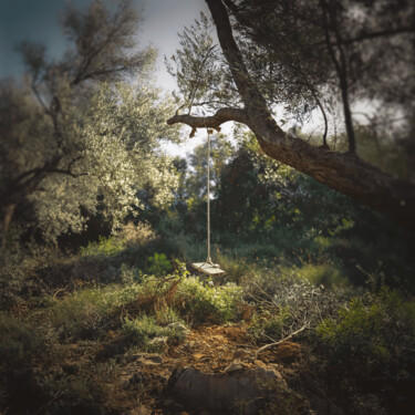 Fotografie getiteld "The swing is waitin…" door Ivan Ponomarevsky, Origineel Kunstwerk, Niet gemanipuleerde fotografie