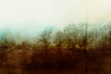 Photographie intitulée "Matin Brouillard -…" par Ivory Lp - Studio, Œuvre d'art originale, Photographie numérique