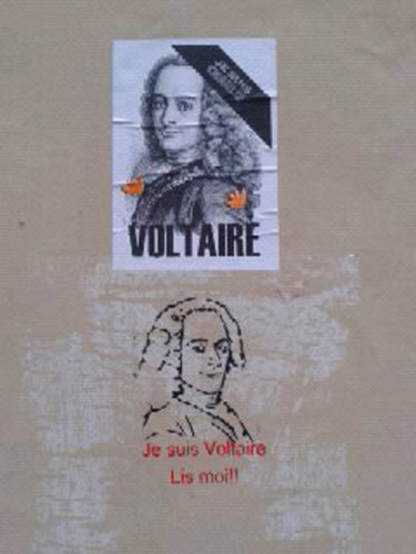 Schilderij getiteld "Je suis Voltaire Li…" door Iza Zaro, Origineel Kunstwerk