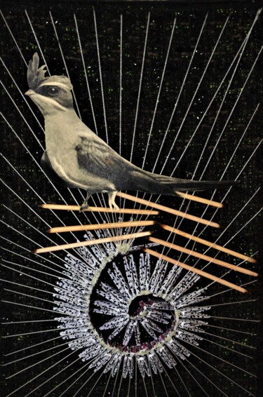Collages intitolato "Bird song" da Iztok Šostarec, Opera d'arte originale, Collages Montato su Telaio per barella in legno