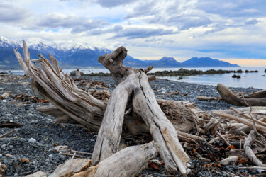 Fotografie mit dem Titel "Wood on the beach" von J. Alfred Lindenthal, Original-Kunstwerk, Digitale Fotografie