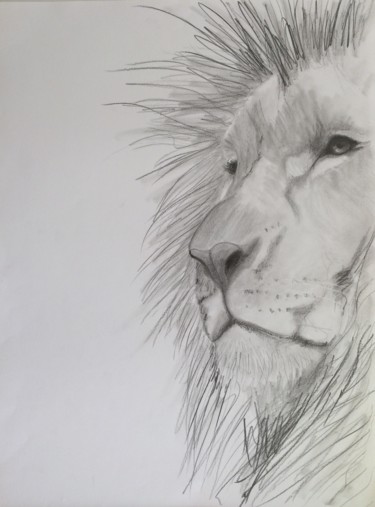 Dessin intitulée "lion" par Jeannelou, Œuvre d'art originale, Conté