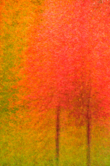 Photographie intitulée "Maple Monet" par John Pingree, Œuvre d'art originale, Photographie numérique