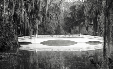 Photographie intitulée "Magnolia Gardens Br…" par John Pingree, Œuvre d'art originale, Photographie numérique