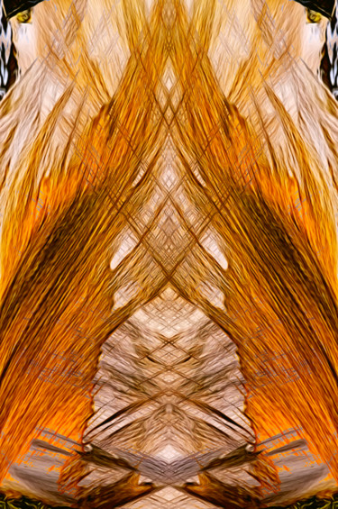 Φωτογραφία με τίτλο "Crystal Flame" από John Pingree, Αυθεντικά έργα τέχνης, Ψηφιακή φωτογραφία