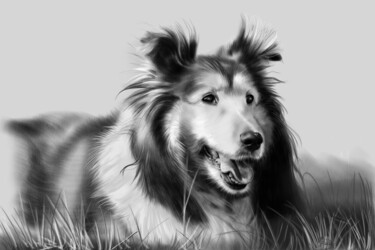 Digital Arts titled "Collie Dog" by Jacildo Silva, Original Artwork, Digital Painting