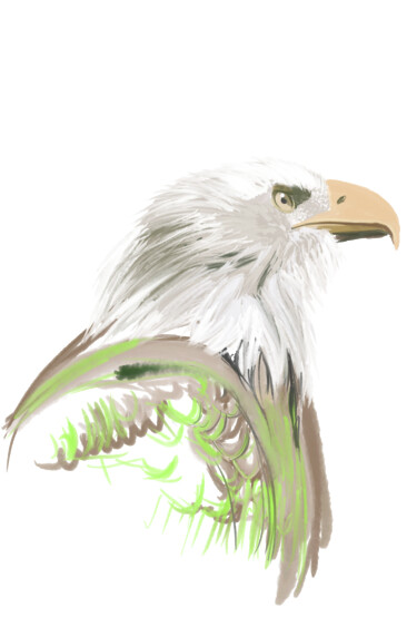 Digitale Kunst mit dem Titel "Eagle" von Jacildo Silva, Original-Kunstwerk, Digitale Malerei