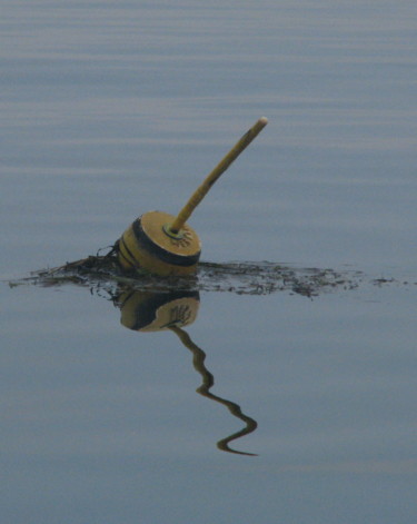 Photography titled "Lobster Pot" by Jack Welch, Original Artwork