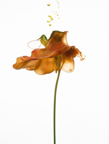 Photography titled "Fluid Flower" by Jack Long, Original Artwork