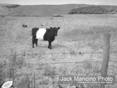 Photography titled "Jack Mancino Photo-…" by Jack Mancino, Original Artwork