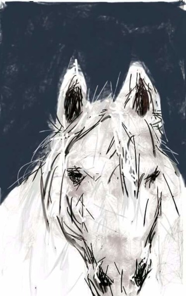 Digital Arts titled "Le cheval blanc" by Jacky Patin, Original Artwork
