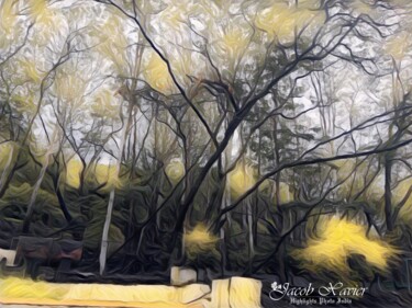 Photographie intitulée "Trees are sanctuari…" par Jacob Xavier, Œuvre d'art originale, Photographie numérique
