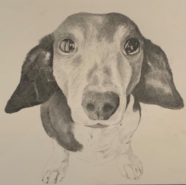 Wise Drawing titled "Wise" by Jacob Haws, Original Art, Charcoal