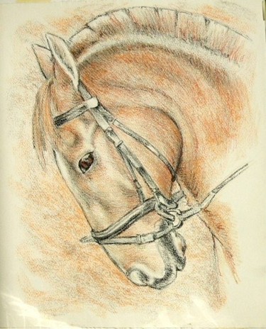 Peinture intitulée "Tête de poney." par Jacques Copau, Œuvre d'art originale, Huile