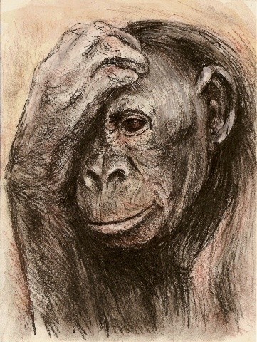 Peinture intitulée "portrait bonobo." par Jacques Copau, Œuvre d'art originale, Huile