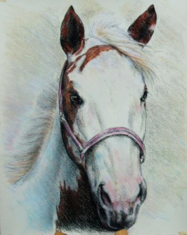 Peinture intitulée "Tête de cheval" par Jacques Copau, Œuvre d'art originale, Huile
