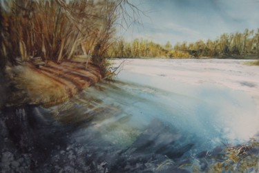 Painting titled "LES MARAIS DES BASS…" by Marie-Claude Jacquemard, Original Artwork, Oil