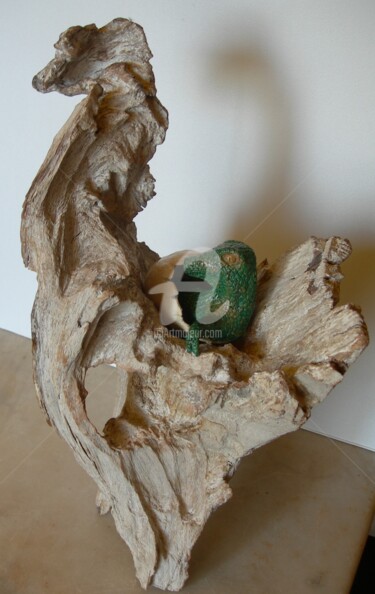 Sculpture intitulée "Jurassique  Jurassic" par Jacques Bourdon (JAQ), Œuvre d'art originale, Bois