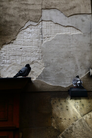 Fotografia intitolato "Parisian pigeons -…" da Jacques Jégo, Opera d'arte originale