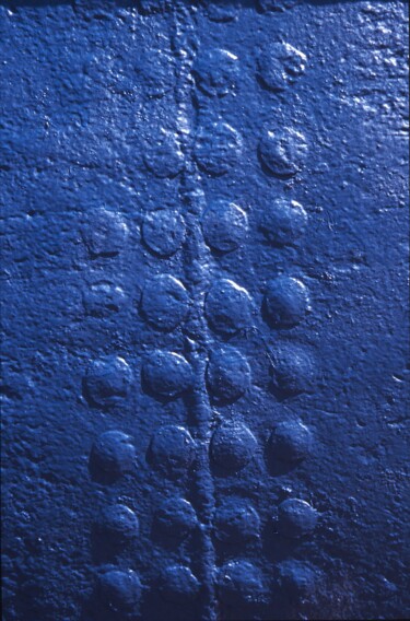Fotografia zatytułowany „Grappe bleue - n9c5” autorstwa Jacques Jégo, Oryginalna praca