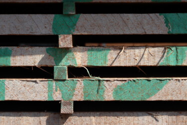 Fotografia intitolato "Volée de bois verdi" da Jacques Jégo, Opera d'arte originale, Fotografia non manipolata