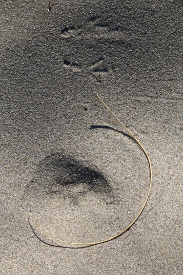 Photography titled "Traces signées" by Jacques Jégo, Original Artwork, Non Manipulated Photography