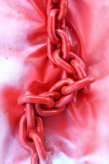 Fotografía titulada "Le serpent rouge" por Jacques Jégo, Obra de arte original, Fotografía no manipulada
