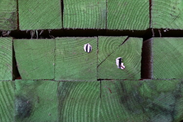 Photographie intitulée "Volée de bois vert…" par Jacques Jégo, Œuvre d'art originale