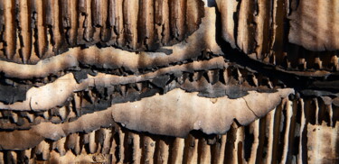 Photographie intitulée "Ondes brûlées - img…" par Jacques Jégo, Œuvre d'art originale