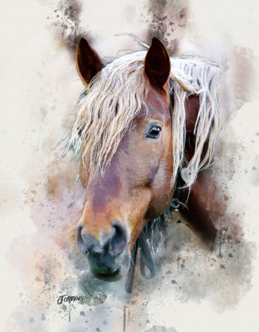 Arts numériques intitulée "2017-12-05-horse.jpg" par Jacques Jordens, Œuvre d'art originale, Peinture numérique